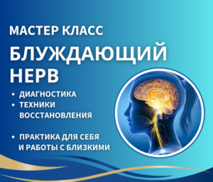 МАСТЕР-КЛАСС «БЛУЖДАЮЩИЙ НЕРВ»