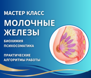 МАСТЕР-КЛАСС «МОЛОЧНЫЕ ЖЕЛЕЗЫ»