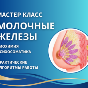 МАСТЕР-КЛАСС "МОЛОЧНЫЕ ЖЕЛЕЗЫ"